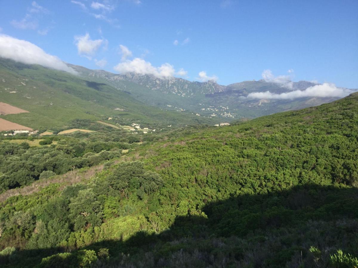 Chambre D Hotes En Haute Corse Sisco Экстерьер фото